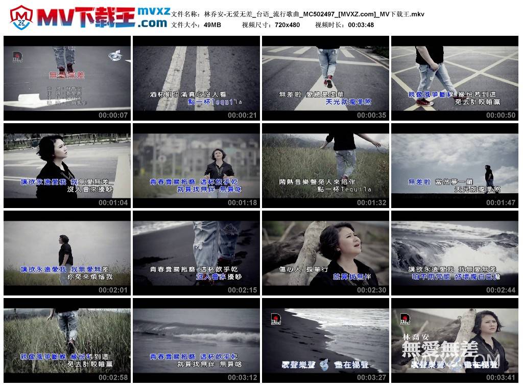 林乔安-无爱无差_台语_流行歌曲_MC502497